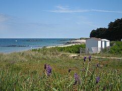 La plage des Sapins (Fir Tree Beach)