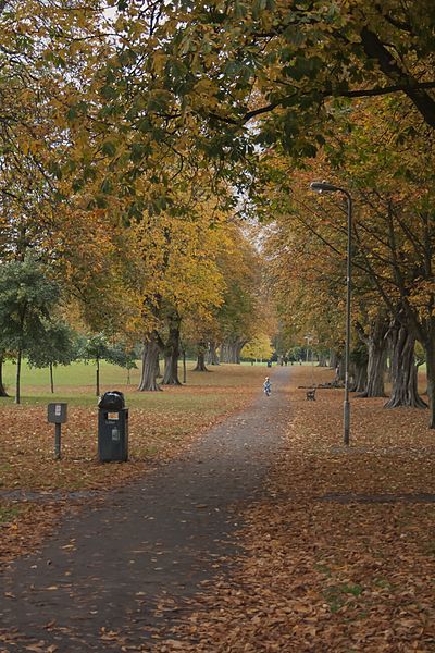 File:Llandaff Fields (22634785925).jpg