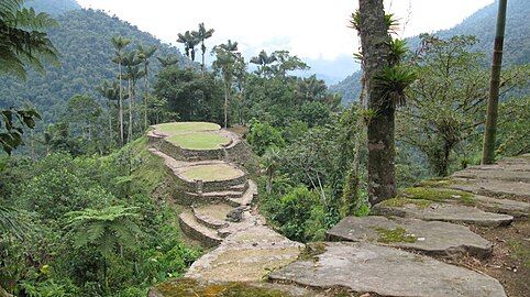 Ciudad Perdida is a major settlement believed to have been founded around 800 CE. It consists of a series of 169 terraces carved into the mountainside. a net of tiled roads and several small circular plazas. The entrance can only be accessed by a climb up some 1.200 stone steps through dense jungle.[15]