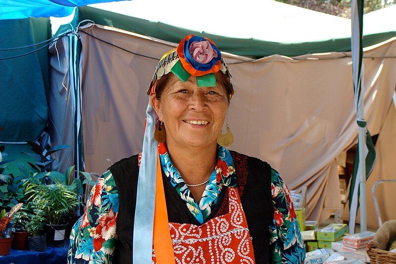 File:Mapuche woman chile.jpg