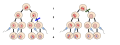 1. Meiosis I 2. Meiosis II 3. Fertilization 4. Zygote The left image at the blue arrow is nondisjunction taking place during meiosis II. The right image at the green arrow is nondisjunction taking place during meiosis I. Nondisjunction occurs when chromatids fail to separate normally resulting in a gain or loss of chromosomes. This can happen during mitosis or meiosis. Primary nondisjunction occurs during meiosis I and the result is both members of a homologous pair go into the same daughter cell. This has the eggs have one more or one less number of chromosomes. Once the sperm fertilizes the egg then there is an abnormal number of chromosomes. Secondary nondisjunction happens during meiosis II and this results when the sister chromatids fail to separate, ending up with both daughter chromosomes going into the same gamete. During this, one egg will have one more or one less chromosome. Once these eggs are fertilized there will be two zygotes with an abnormal number of chromosomes. It is less harmful to have secondary nondisjunction since you can still have two normal gametes while in primary nondisjunction there are no normal gametes.