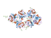 2j3u: L-FICOLIN COMPLEXED TO GALACTOSE