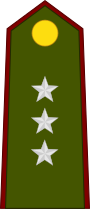 File:Paraguay-Army-OF-2.svg