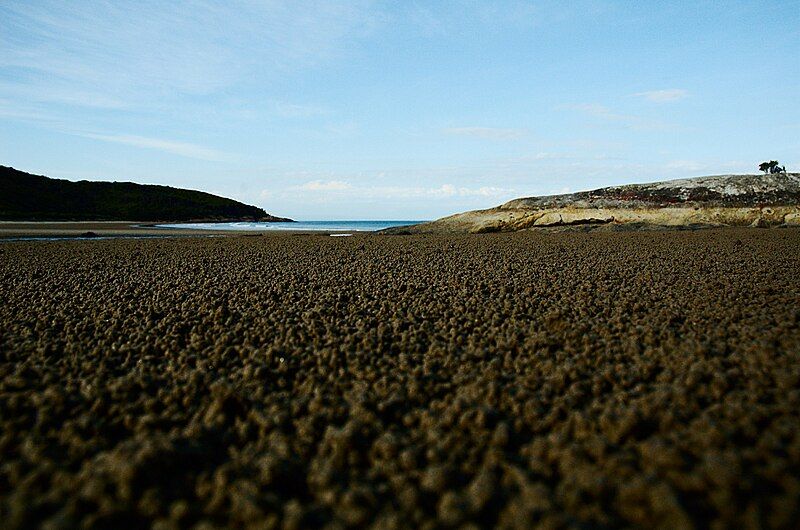 File:ProcessedBeach.jpg