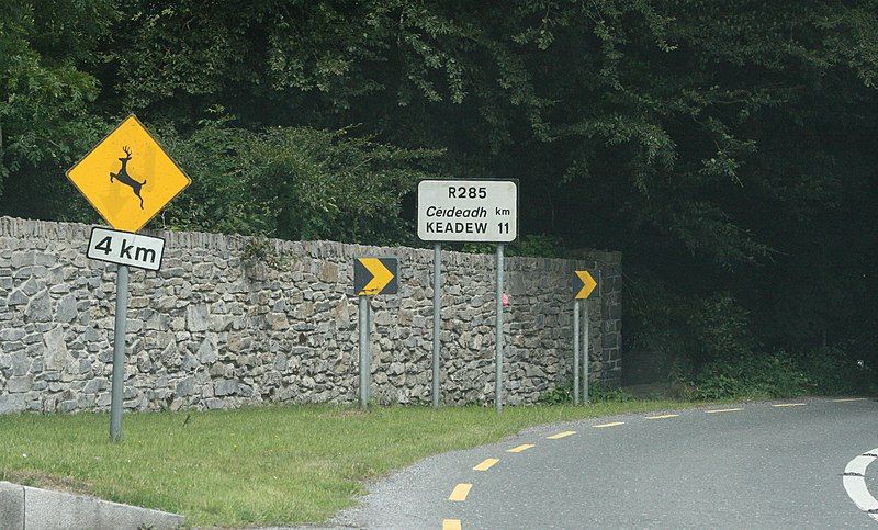 File:R285roadRoscommon.JPG