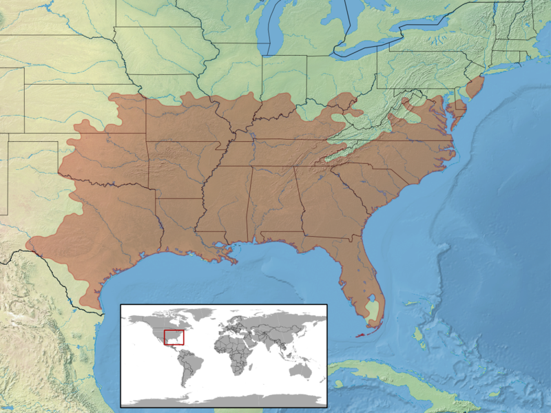 File:Scincella lateralis distribution.png