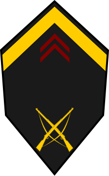 File:Senegal-Army-OR-5.svg