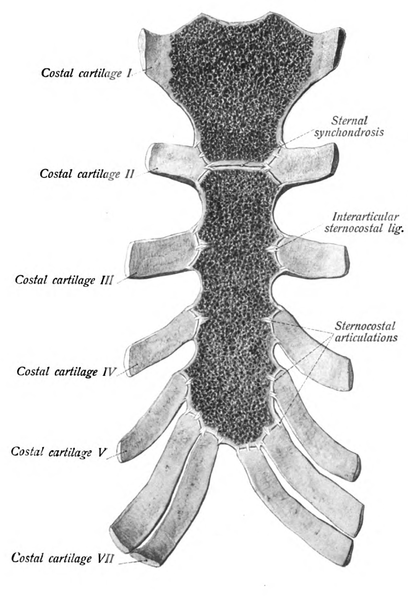 File:Sobo 1909 181.png