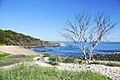 Angourie beach, Australia