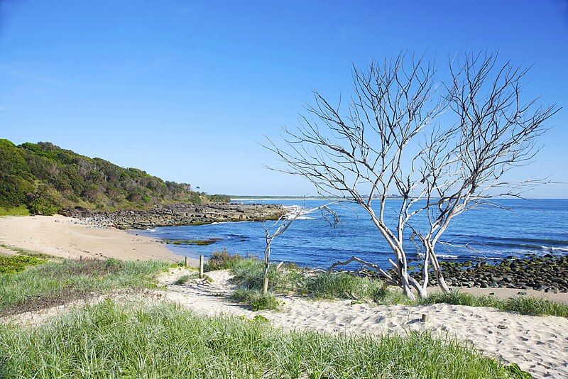 File:Angourie Beach.jpg