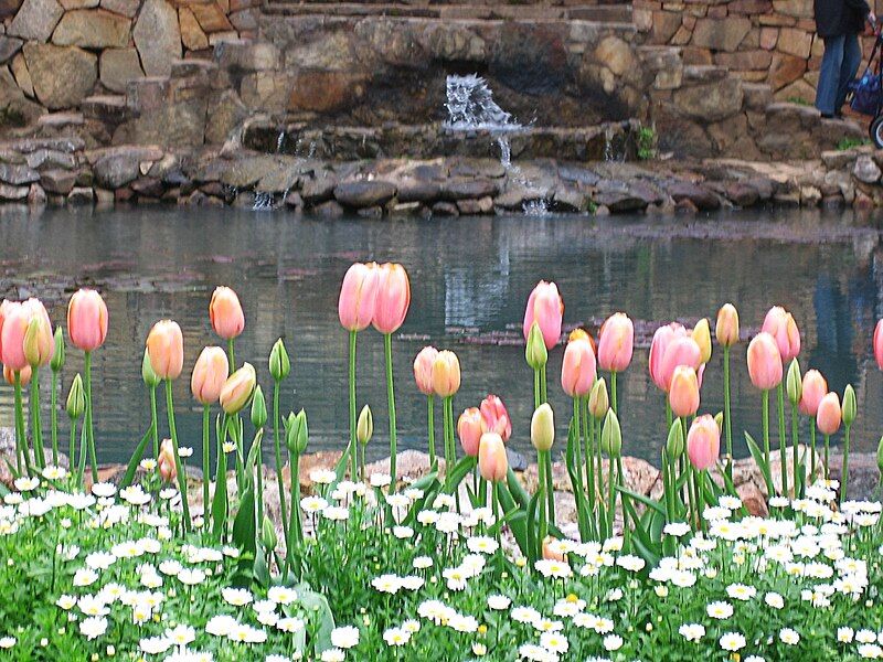 File:Araluen IMG 0251.JPG