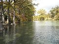 The Blanco River in Wimberley**