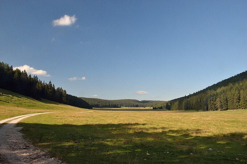 File:Bodenwiese, Schneeberg.jpg