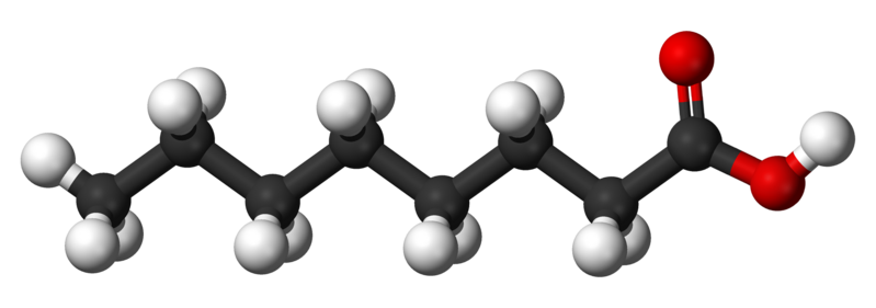 File:Caprylic-acid-3D-balls.png