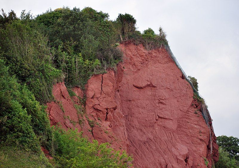 File:Cliffs above Oddicombe.jpg