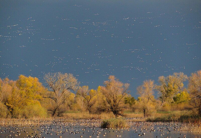 File:Graylodgewildlifearea.jpg