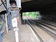 2 railway tracks go under a graffiti-ed bridge & enter an area of green foliage, where 2 more tracks join them from the left. 1 of them crosses the left hand track & joins the right-hand one, while the other runs to the left of both tracks, parallel to them. To the left is a blue latticework support against which a piece of light-coloured wood has been left. There is a railway signal close to the camera.