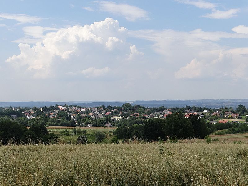 File:Krzęcin (województwo małopolskie).jpg