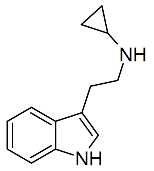 File:NcPT structure.png