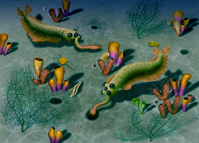 File:Opabinia v2.png