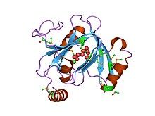 3D structure of Acireductone dioxygenase