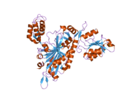 2pmf: The crystal structure of a human glycyl-tRNA synthetase mutant