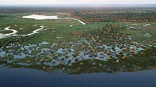 Pantanal in Mato Grosso