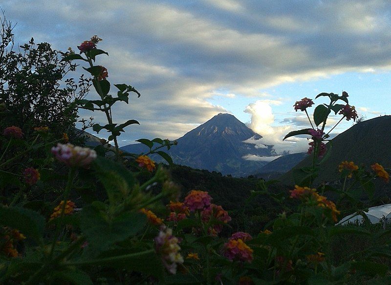 File:PatateTungurahua.jpg