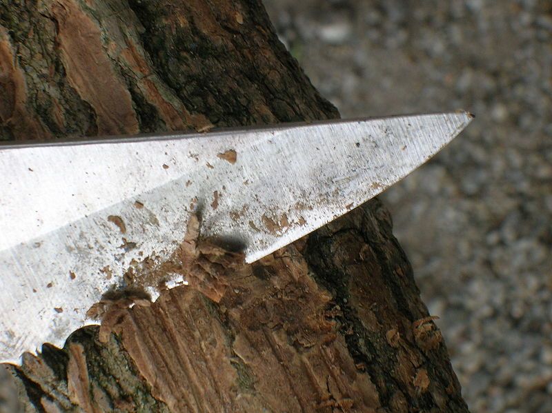 File:Pocket knife cut.jpg