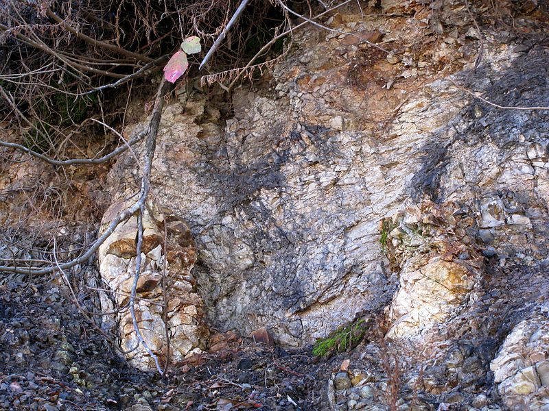 File:RinconShale2.jpg