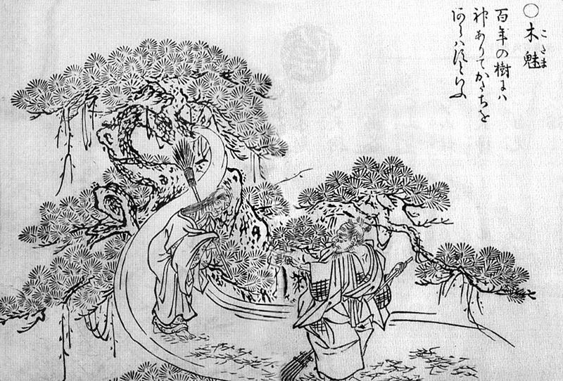 File:SekienKodama.jpg