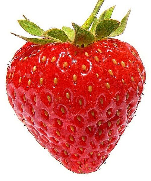 File:Strawberry444 (cropped).jpg