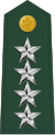 General