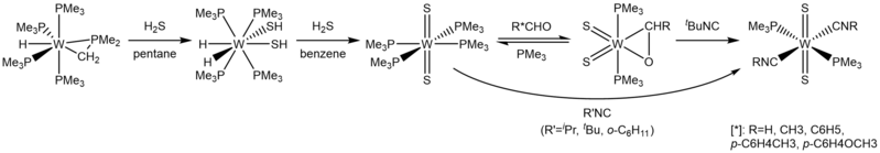 File:W(PMe3)4(η2-CH2PMe2)H with Sulfur.png