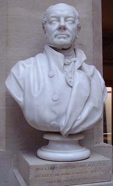 File:William Buckland bust.JPG