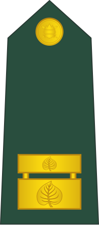 File:15-Slovenian Army-MAJ.svg