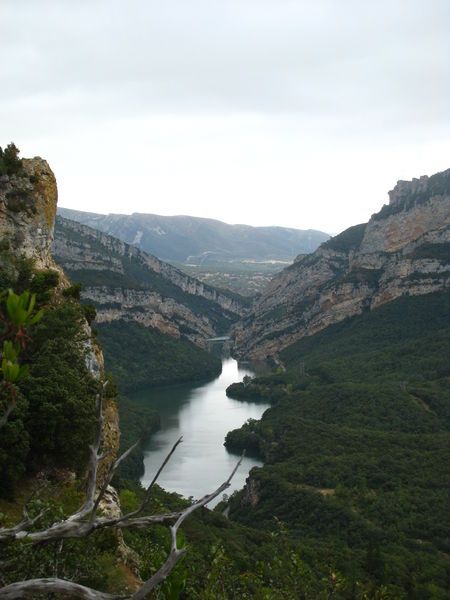 File:18092007-hoces-de-sobron-ebro-23.JPG