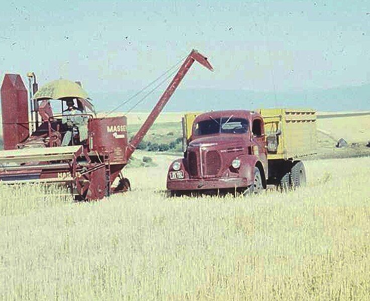 File:1948 REO SpeedWagon.jpg