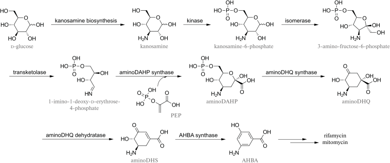 File:Aminoshikimate pathway.svg