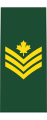 Sergeant (French: Sergent) (Canadian Army)[39]