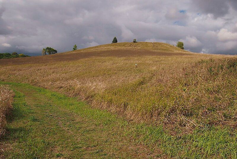 File:Darwin-Dassel County Park.JPG