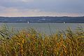 Ammersee