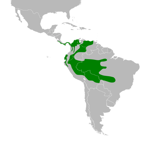 File:Euphonia laniirostris map.svg