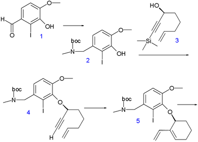 Galanthamine synthesis 2007 A