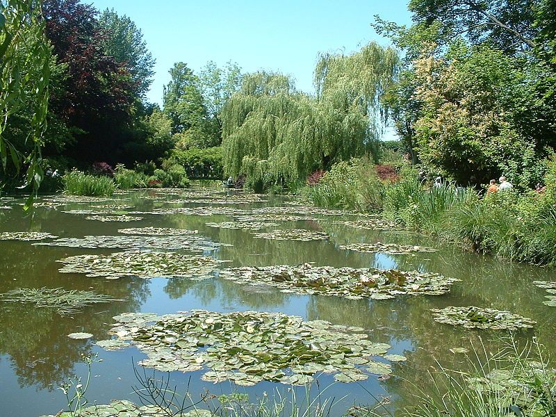 File:Giverny nympheas.jpg