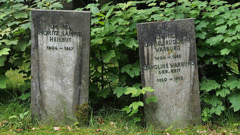 File:Grindelfriedhof Heilbut+Warburg.jpg