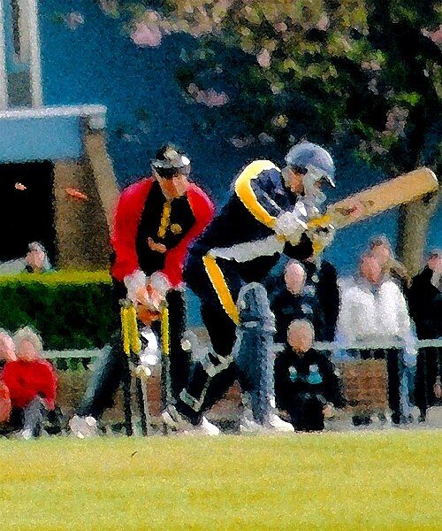 File:Jonathan Beukes bowled.jpg