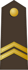 File:Latvia-Army-OR-4.svg