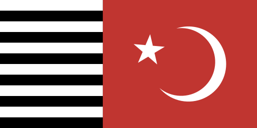 File:Majlis-e-Ahrar-ul-Islam Flag.svg