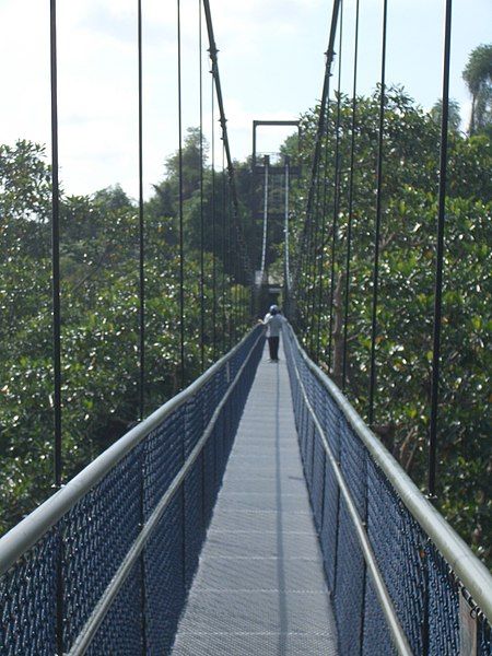 File:Mcritchie suspbridge3.JPG